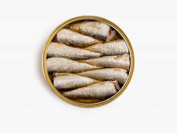 Sardines in oliveoil