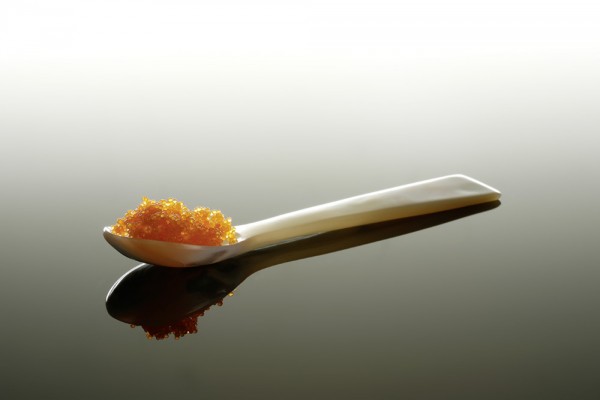 Food Design, Masago rot