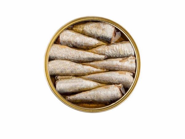 Sardines in oliveoil